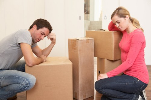 Professional movers handling boxes and checking access routes for safety