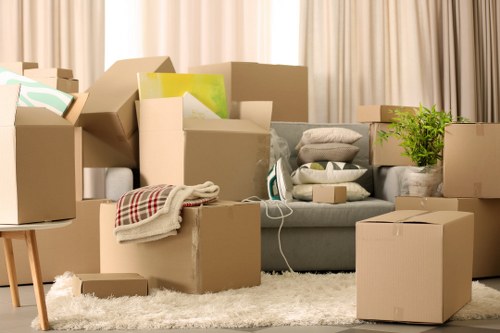 Accessibility support message for Hammersmith removals