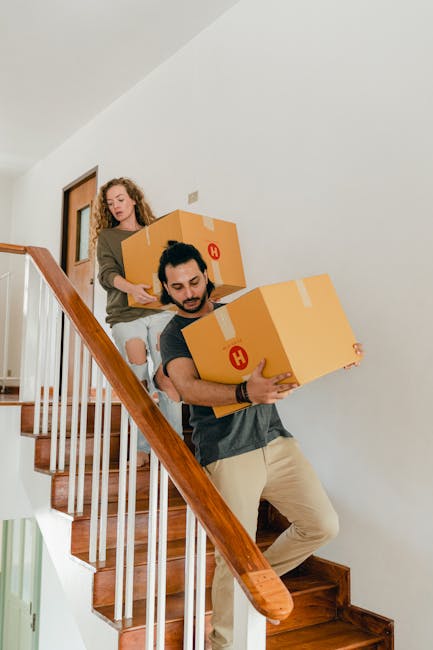 A person wearing a white t-shirt and blue jeans is seen loading a cardboard box into a moving vehicle or storage area. The box is open and contains a wrapped, round household item, possibly a plate or